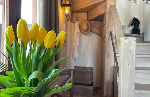 Touristic Ballonga Horses - Foto 23