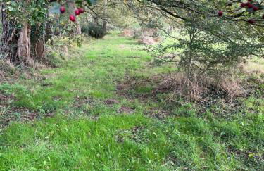 les Palmiers - Foto 17