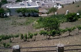 Casa Pablo - Photo 8