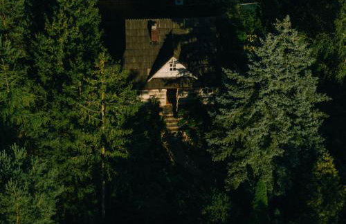 Przystanek Zielnik - Foto 11