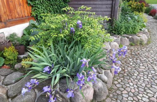 Drewniany Domek w Zakątku Andrzeje Śniczany 18 - Photo 26