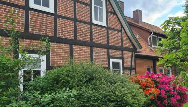 Kleine Auszeit - Foto 5