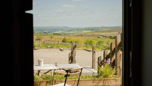 Daisy Bank Camp - Foto 3, Garden