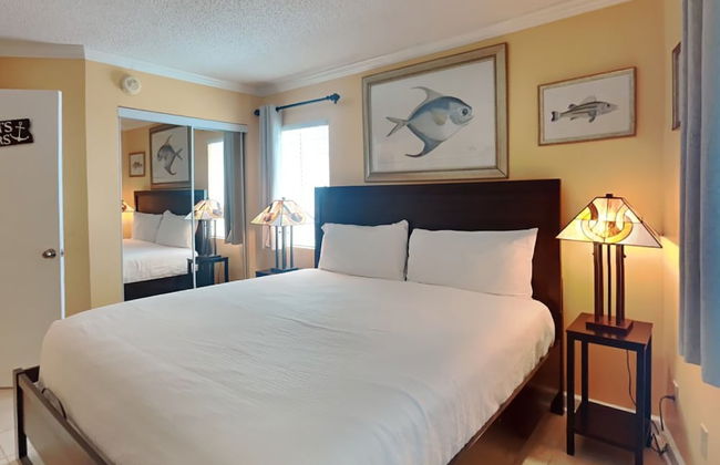 Perdido Skye by Southern VR - Foto 22