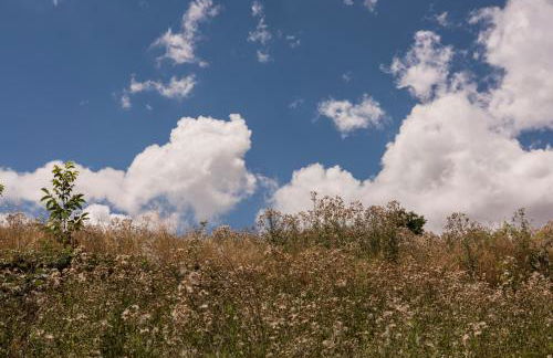 Relais Cocci Grifoni - Panoramic Wine Resort - Foto 57