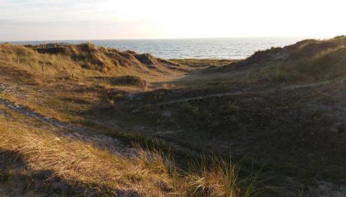 Aux Mouettes les pieds dans l'eau accès direct à la place 5 personnes - Foto 3