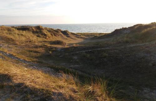 Aux Mouettes les pieds dans l'eau accès direct à la place 5 personnes - Foto 3