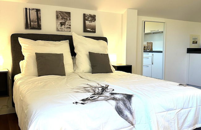 Schloss Hohendorf - Foto 31