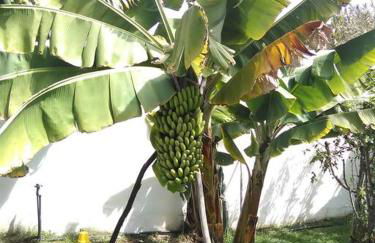 CHALET PRIVADO, PISCINA, WIFI AL MEJOR PRECIO - Foto 11