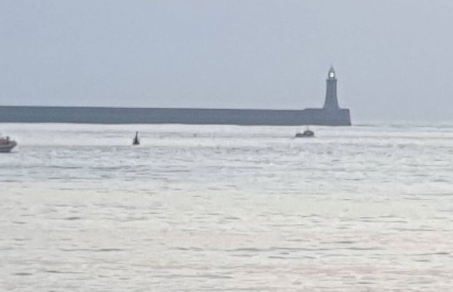 South Shield's Hidden Gem Amethyst 3 Bedroom House - Photo 10