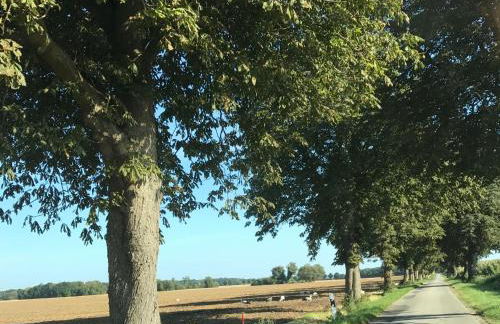 Luxuriöse Ferienwohnung in Boddin mit Garten - Foto 28