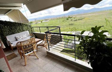 Light Blue - Foto 33