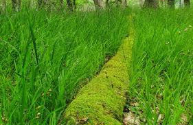 Ferienwohnung Jenny Edersee - Foto 19