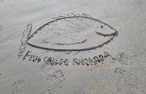 Cosy Cottage overlooking the Teifi Gorge - Foto 2