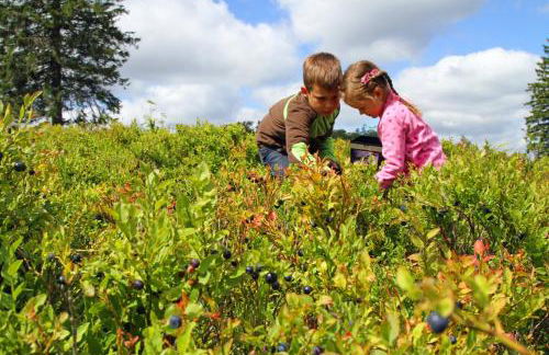 Ferienhaus Willkommen - Foto 5