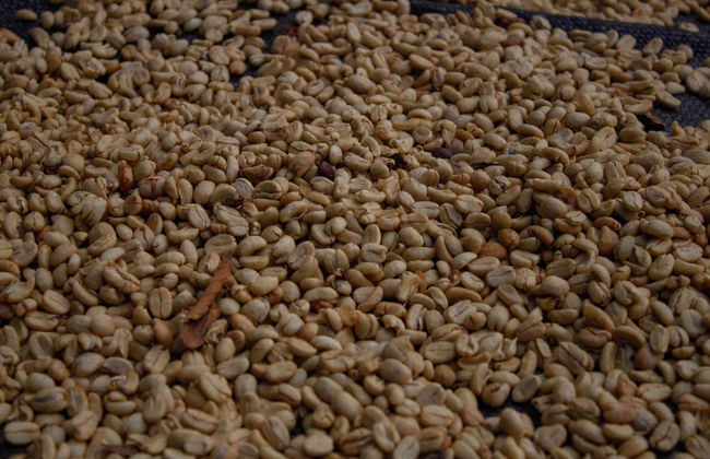 Tour del café por Villa Rica - Foto 5