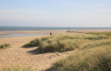 Beach House - Dog Friendly Anderby Creek - Photo 19