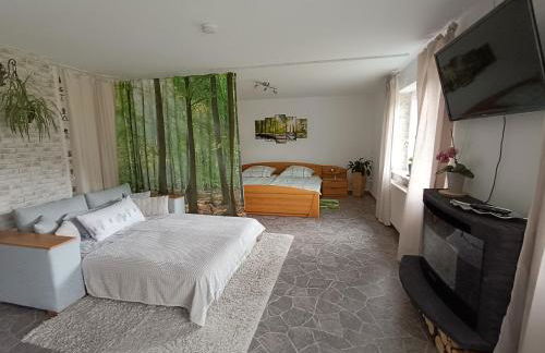 Ferienwohnung, Sauna & Gästekarte gratis im Schwarzwald - Photo 6