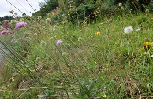 4 Bed in Ross -on- Wye oc-72538 - Foto 33