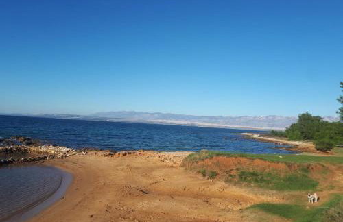 Apartmani DBS - Foto 28