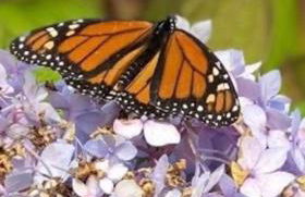 Riverhouse - Foto 26