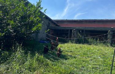 Landhausvilla Gut Vogelsang - Foto 17