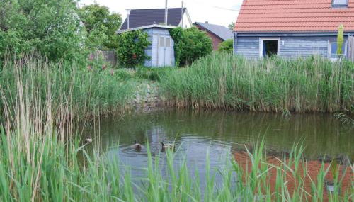 Ostseelandhaus mit Südterrasse und Teich OFC 07 - Foto 5