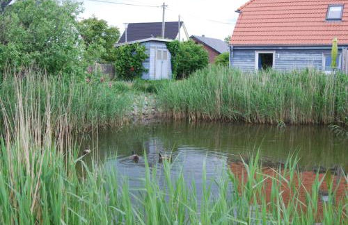 Ostseelandhaus mit Südterrasse und Teich OFC 07 - Foto 5
