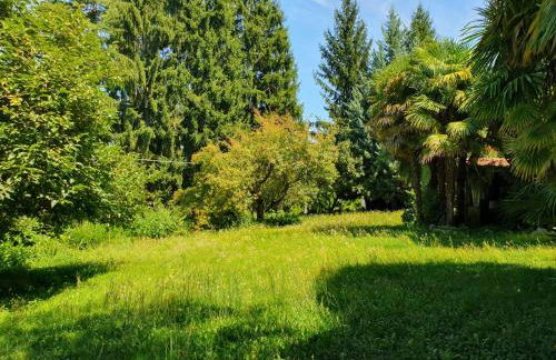 Casa Paradiso - Photo 16