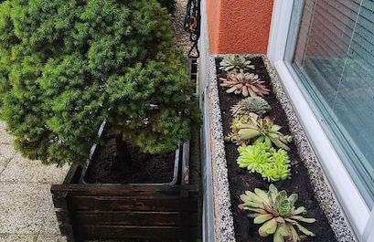 Bastien Studio near Airport - Foto 43