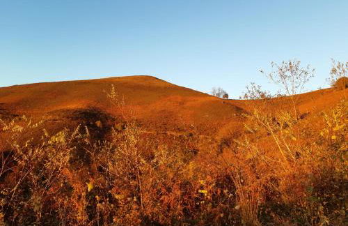 Apartamento Baztán - Foto 12