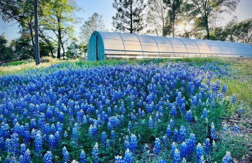 Blissful Acres hilltop cottage - Foto 11