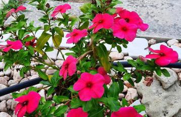 Villa Chiaraluna - Foto 80