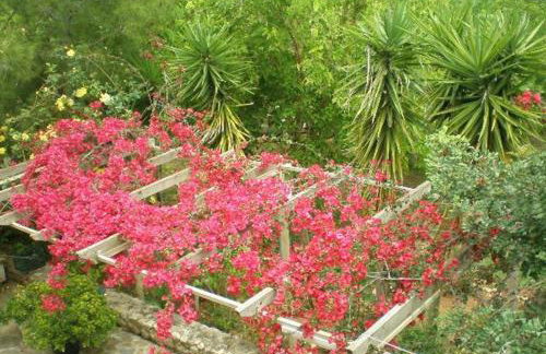 Sani Kasimis - Foto 25