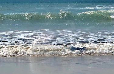 JJs Lodge Holiday Home 14 The Park Bude - Foto 14