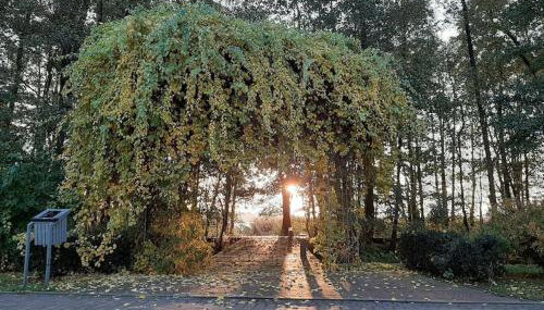 Lake View House WiFi Free Parking - Foto 5