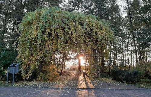 Lake View House WiFi Free Parking - Foto 5