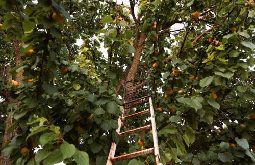 Salomonio hill - Foto 41