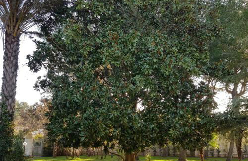 Villa Edda Heated Pool - Foto 58