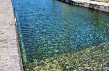 Free Spirit - Photo 27