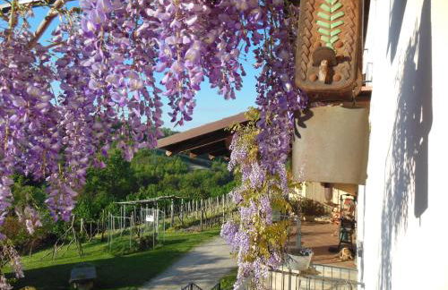 Agriturismo Affittacamere Barbarossa - Foto 38