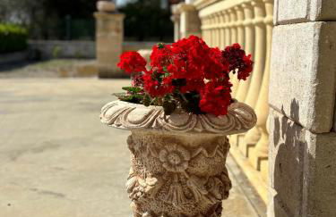 VILLA VITA - Foto 45