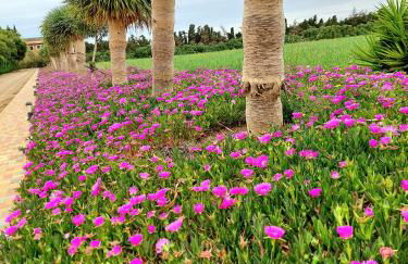 Apartamentos Boutique Mar De Cristal - Foto 52