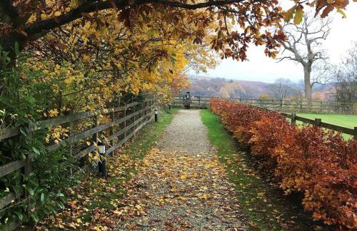 1 Bed in Whitby oc-g0157 - Foto 14