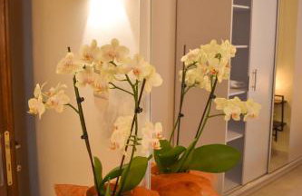 Martha's Apartment - Foto 12