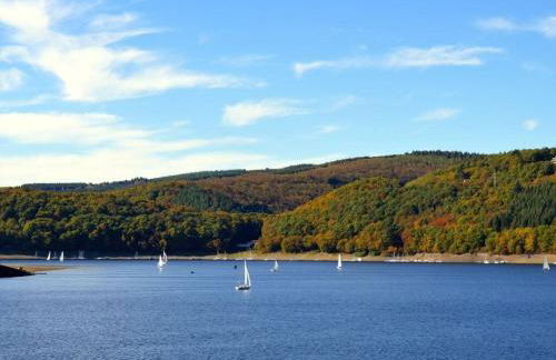 Holiday apartment on the Eifelsteig - Foto 24