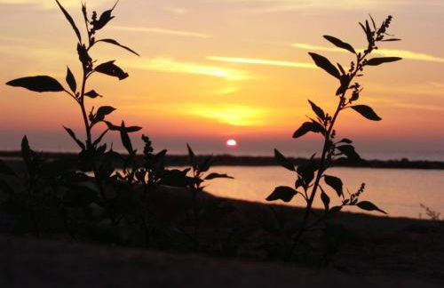 100m2 big apartment private garden and pool/ 100m2 gran apartamento jardin privado y piscina / Acogedor apartamento en zona tranquila y agradable - Photo 19