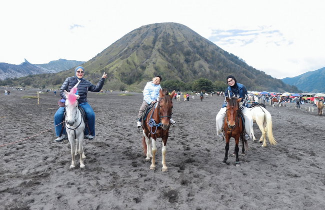 ARTOTEL Cabin Bromo - Foto 16