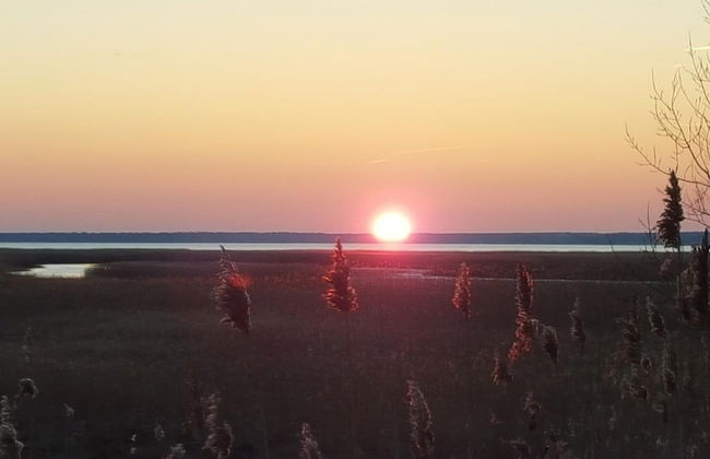 Captain Pahlen Ferienanlage - Foto 36