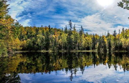 Ferienhaus Nr 6, Typ A, Feriendorf Jägerpark, Bayerischer Wald - Foto 24